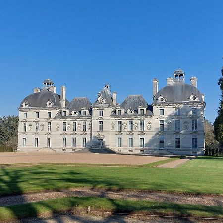 Le Controis-en-Sologne Trainefeuilles - Chambres D'Hotes Proche Zoo De Beauval المظهر الخارجي الصورة