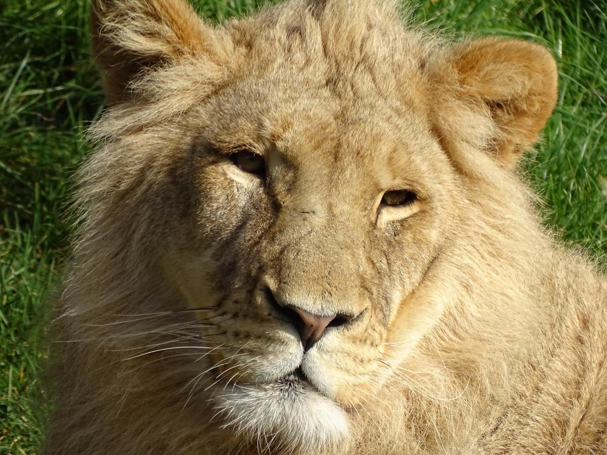 Le Controis-en-Sologne Trainefeuilles - Chambres D'Hotes Proche Zoo De Beauval المظهر الخارجي الصورة
