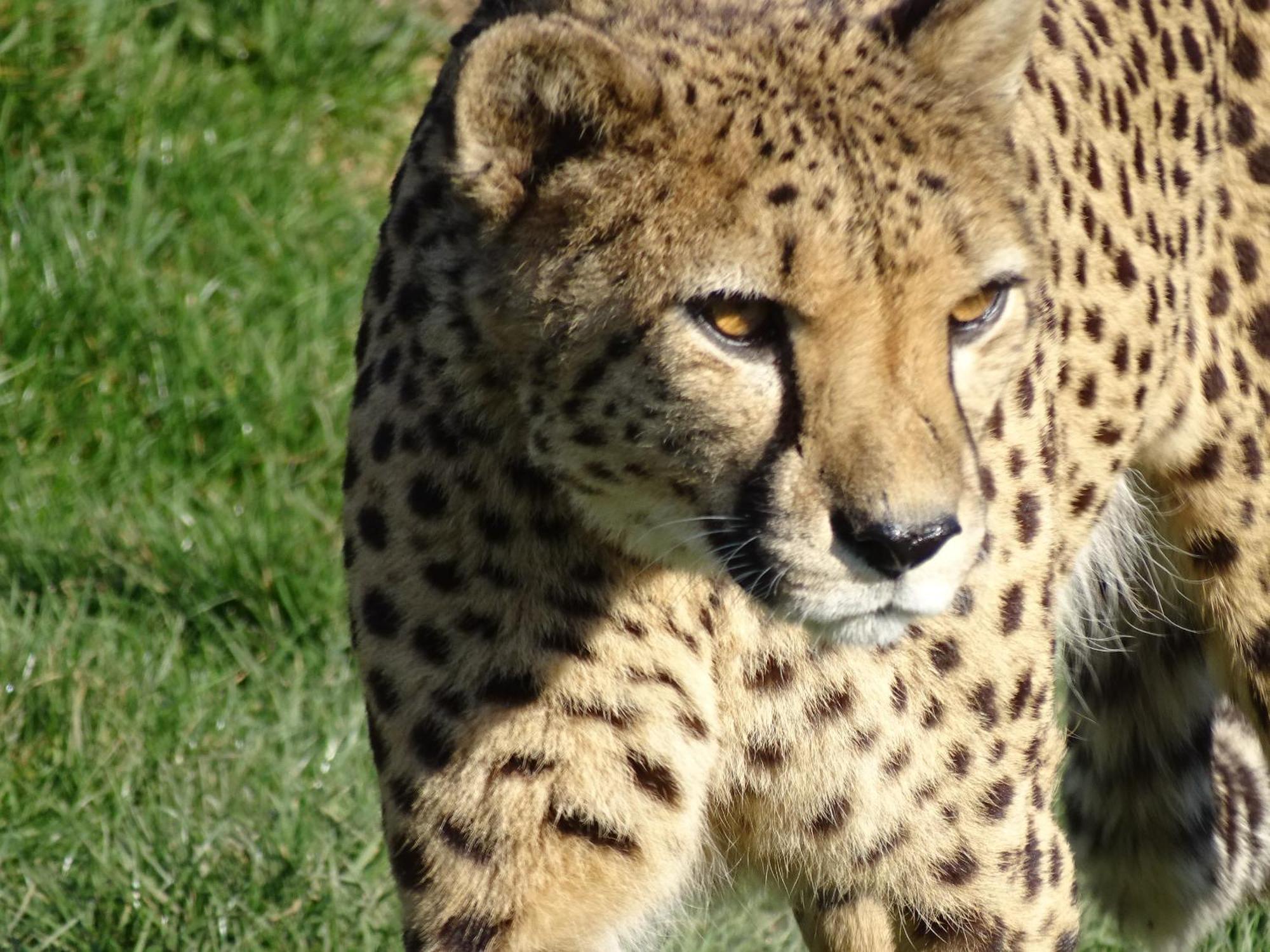 Le Controis-en-Sologne Trainefeuilles - Chambres D'Hotes Proche Zoo De Beauval المظهر الخارجي الصورة